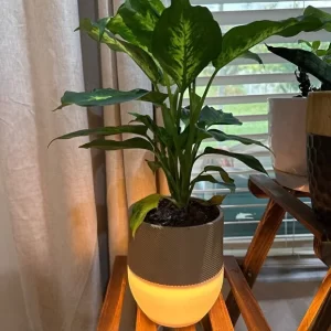 Devotech LED Işıklı Saksı – Masaüstü ve Dekoratif Aydınlatma